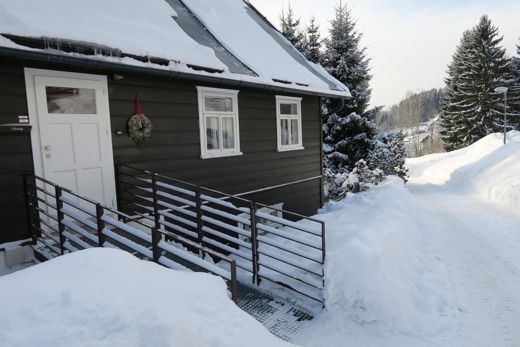 Horska Chata U Vleku Rokytnice nad Jizerou Exteriör bild